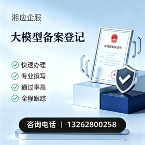 上海大模型备案申报服务