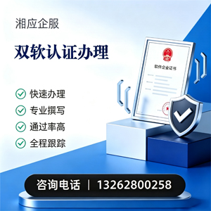 上海双软认证申报服务