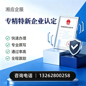 上海专精特新企业申报服务