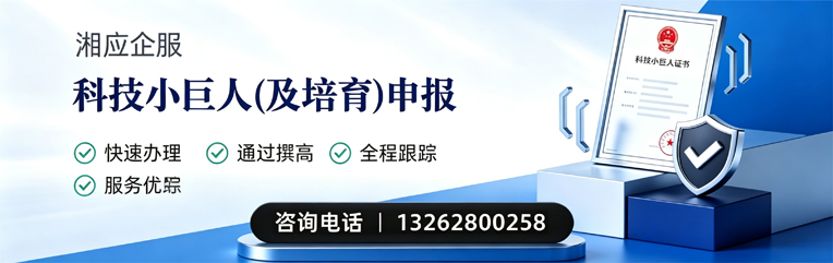 上海科技小巨人及培育企业申报服务