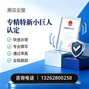 上海专精特新小巨人申报服务