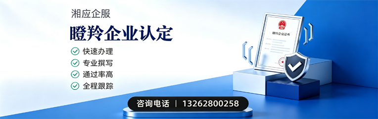 上海瞪羚企业认定申报服务