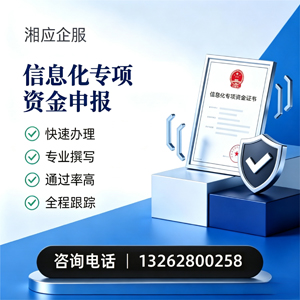 上海信息化专项资金申报服务