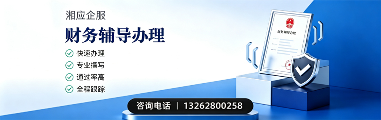 上海财务辅导申请服务