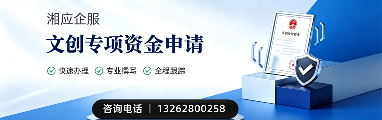 上海文创专项资金申报服务