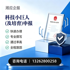 上海科技小巨人及培育企业申报服务