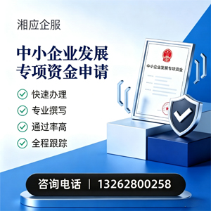 上海中小企业发展专项资金申报服务