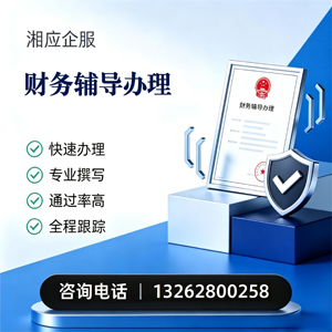 上海财务辅导申请服务