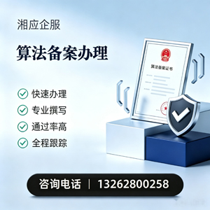 上海算法备案申报服务