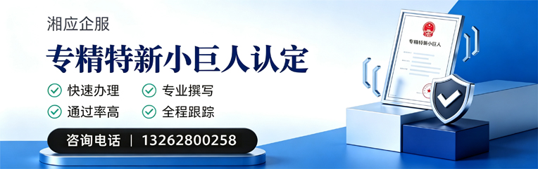 上海专精特新小巨人申报服务